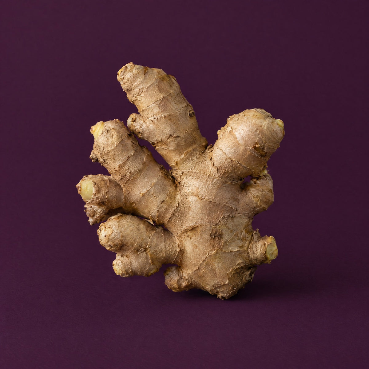 Fresh ginger root on plum